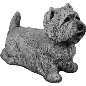 West Highland terrier