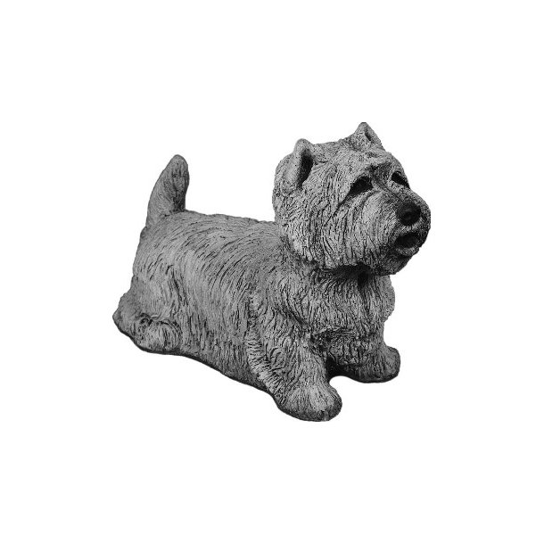 West Highland terrier