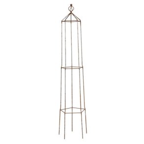 Fritstende espalier, 5-kantet