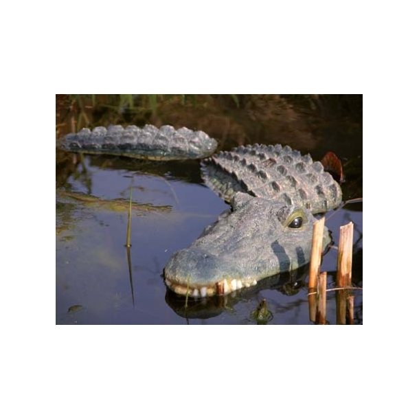 Krokodille tredelt