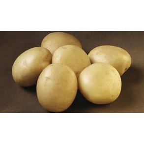 Folva (middeltidlig)