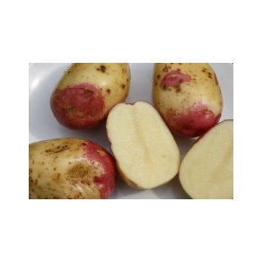 King Edward (middeltidlig/sen)