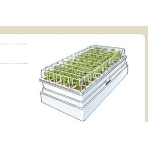 Pindstrup minidrivhus