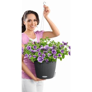 Lechuza selvvandingspotte, gr