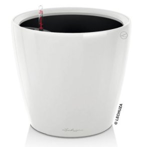 Lechuza Classico Premium, blank hvid