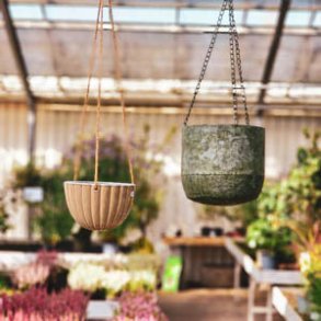 Hænge og vægpotter