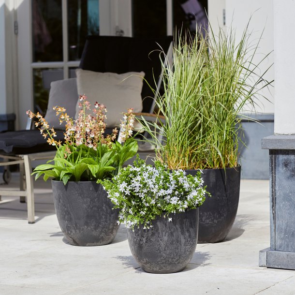 Artstone "Bola" sort