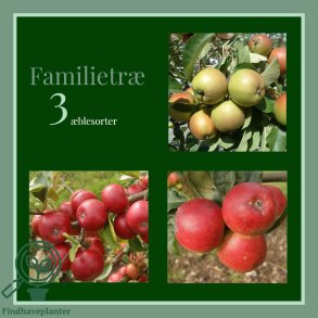 �bletr� 'Familie'