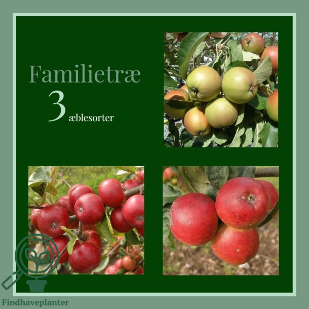 �bletr� 'Familie'