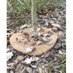 Plantebeskytter kokos