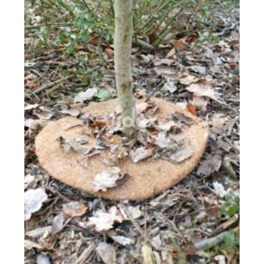 Plantebeskytter kokos