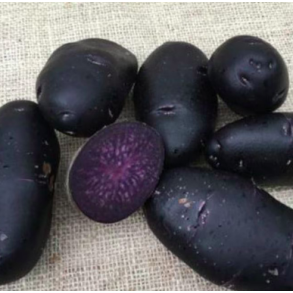 Purple Rain (tidlig)