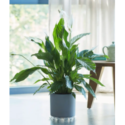 Elho Floorprotector, rund