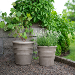 Krukke "Majvor" letv�gt