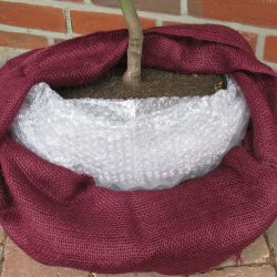 Isolerende Boblefolie til Vinterbeskyttelse 300 � 50 cm