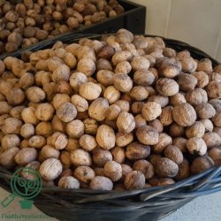 Valn�d 'Broadview'