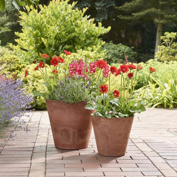 Artstone "Clair" rust