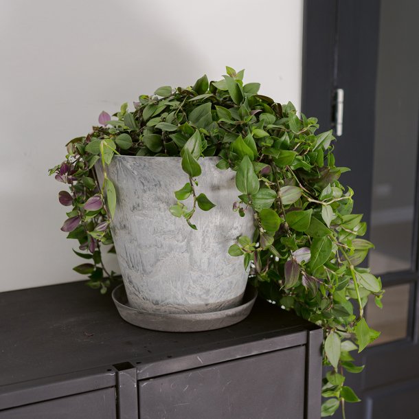 Artstone "Clair" gr�