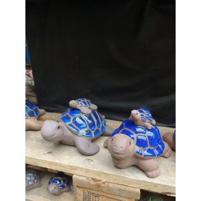 Skildpadde med unge bl