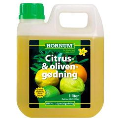 Citrusnring