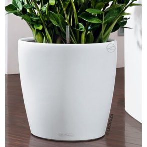 Lechuza Classico, hvid