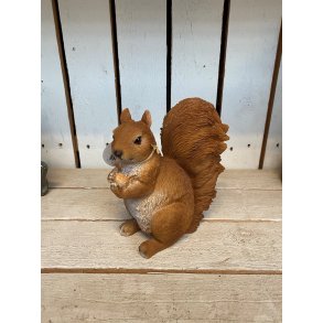 Egern siddende med nd