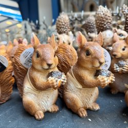 Lille egern m. n�d