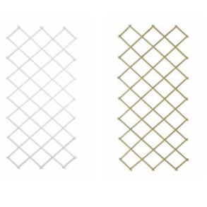 V�gespalier, tr� hvid