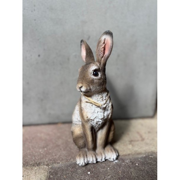 Hare siddende