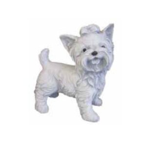 Yorkshire terrier st�ende