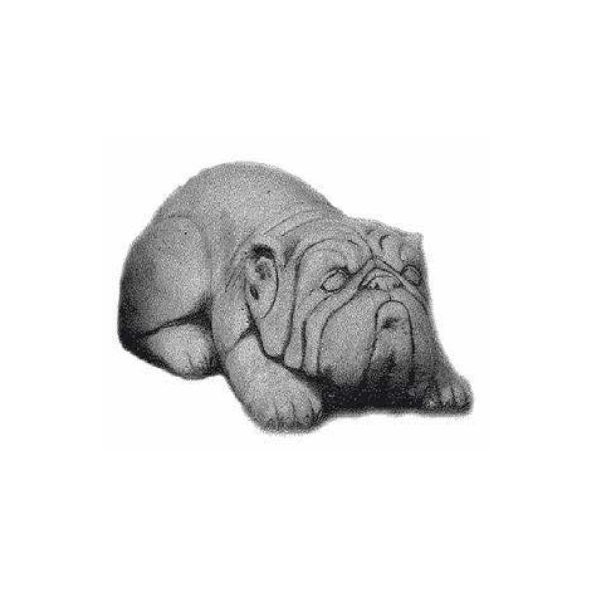 Bulldog liggende