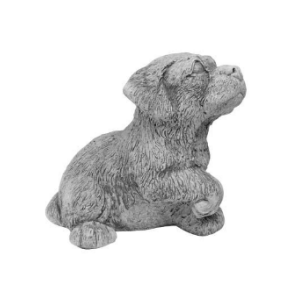 Hvalp med l�ftet pote