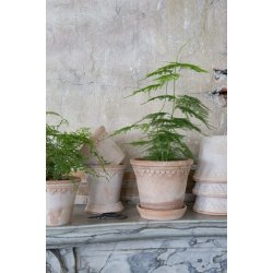 K�benhavner Potte Rosa