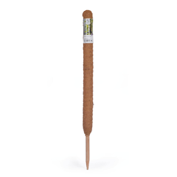 Plantest�tte tr�/kokos