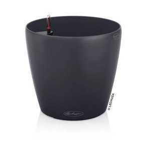 Lechuza Classico, slate gr