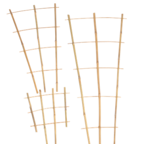 Krukkeespalier bambus