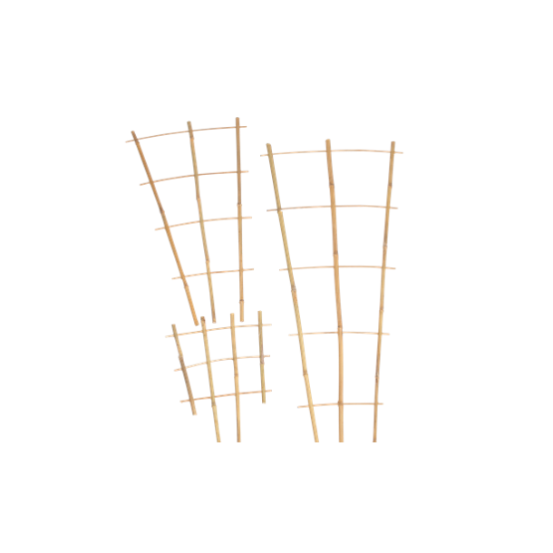 Krukkeespalier bambus