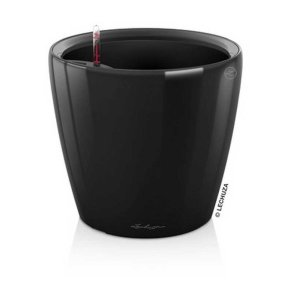 Lechuza Classico Premium, blank sort