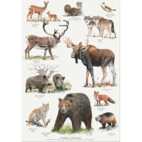 Nordiske dyr