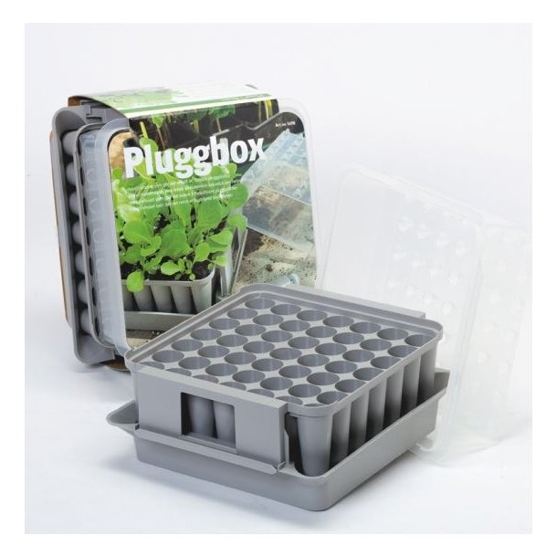 Pluggbox