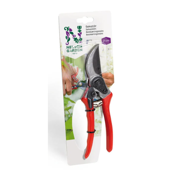 Papeg�jebesk�ringssaks