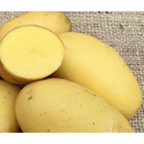 Santera (middeltidlig)