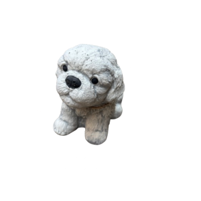 Hvalp Shih Tzu
