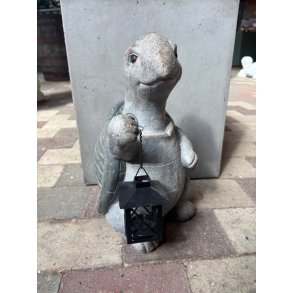 Skildpadde med lanterne 