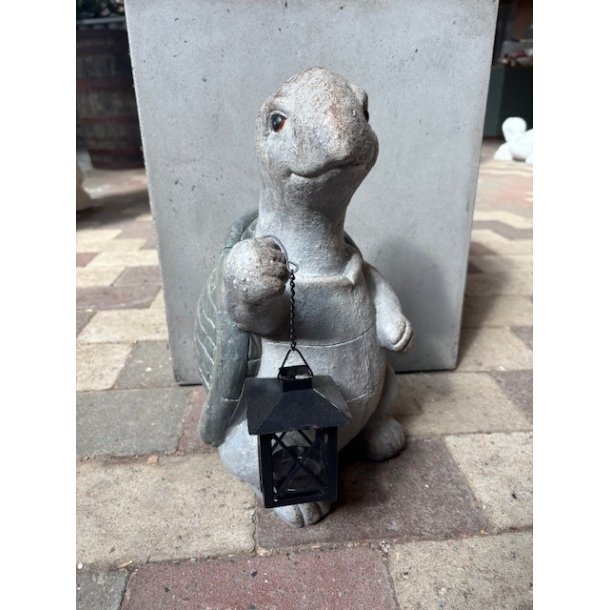 Skildpadde med lanterne 