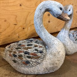 Svane
