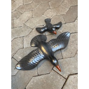 Fugl til vg antracit 